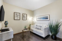 Apartment Living Room